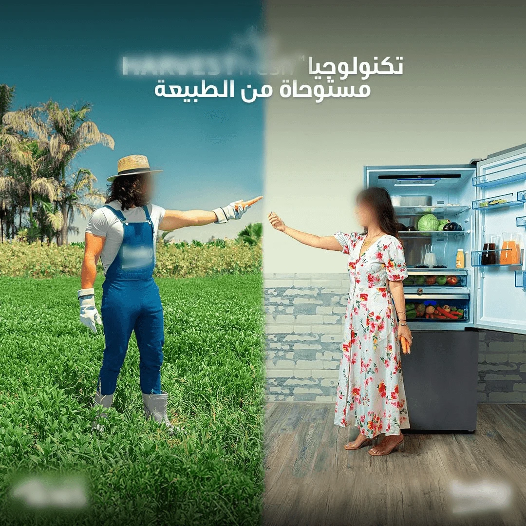 Original portfolio artwork for From Refrigeration Technology to a Freshness Story.